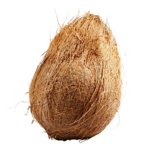 Whole Coconut