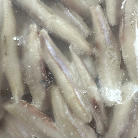 Anchovy ,Kozhuva