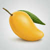 MANGO FRUIT