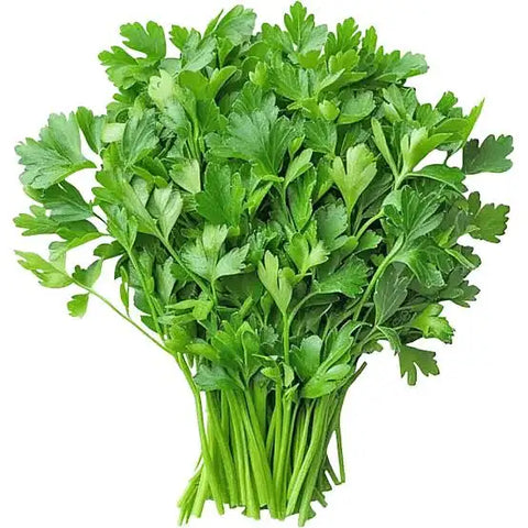 Coriander leaves