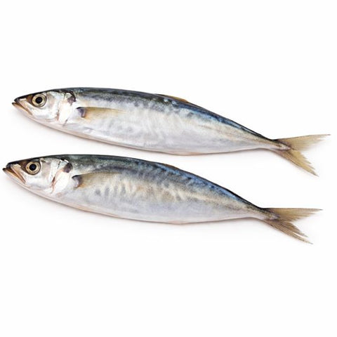 Sardine whole 1 kg