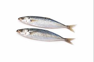 Sardine whole 1 kg